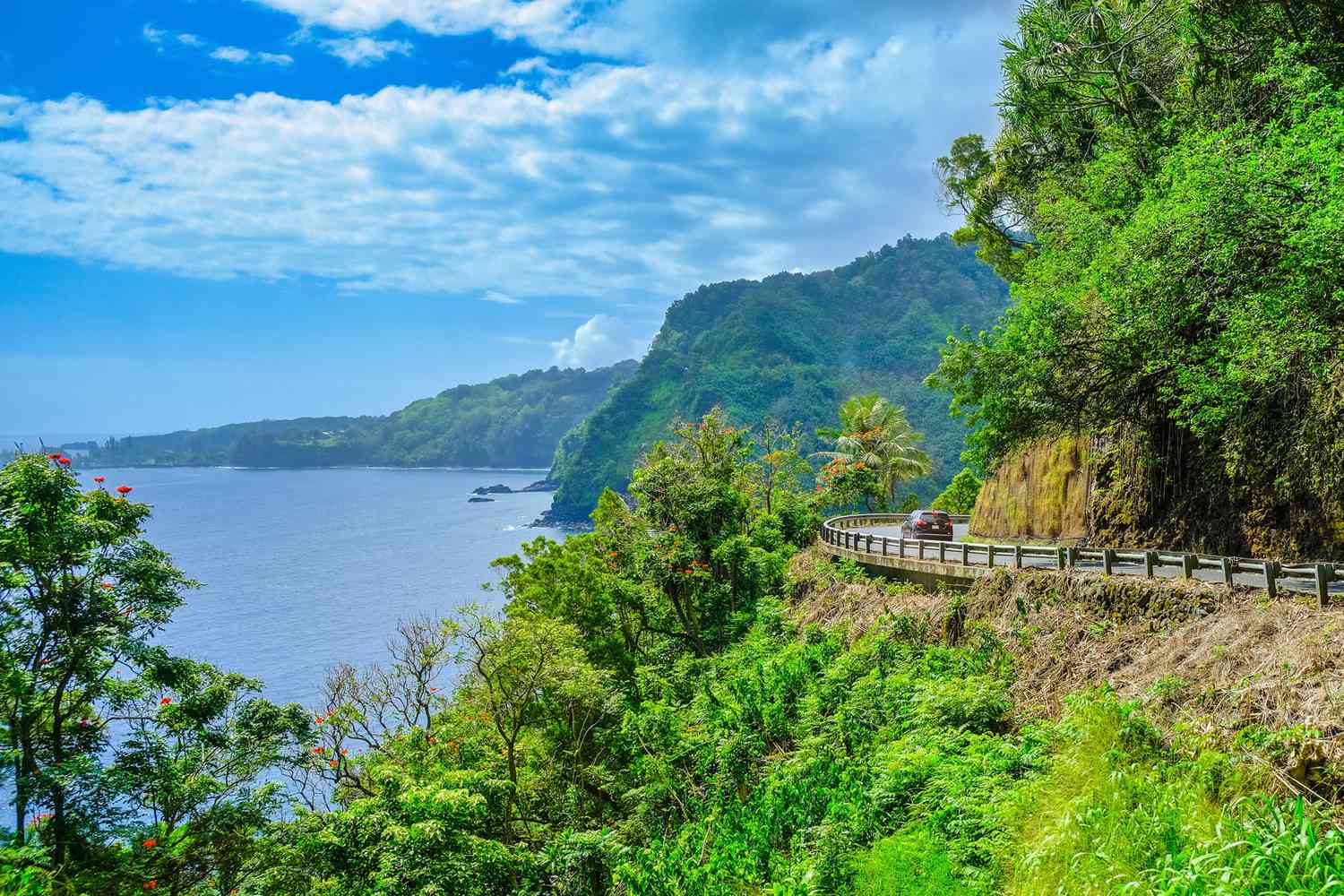 Maui Island Tours — Road to Hana · Haleakala · West Maui