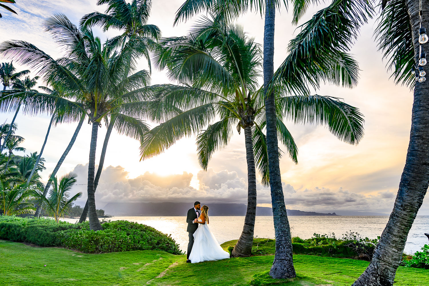 Weddings & Special Events — Your perfect day, perfected
